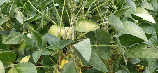 Similar image 21415991