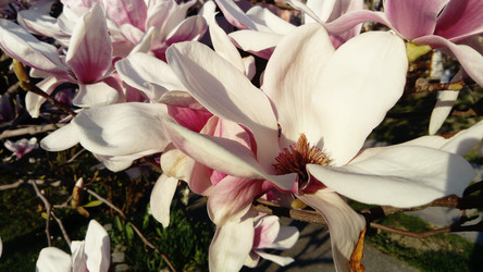 Similar image 21416140