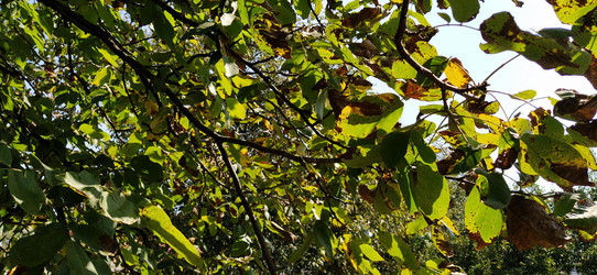 Similar image 21416239