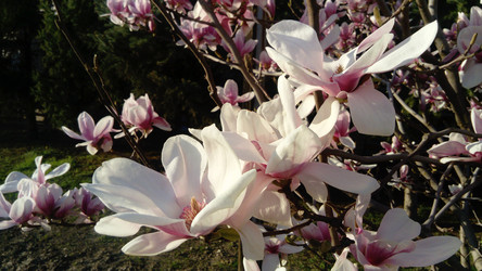 Similar image 21416240