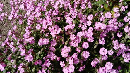 Similar image 21417403