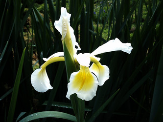 Similar image 21417405