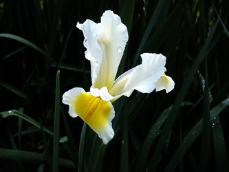 Similar image 21417407