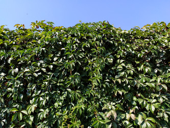 Similar image 21417926