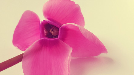 Similar image 21417929