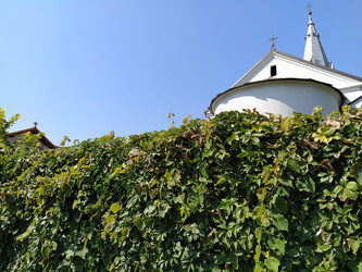 Similar image 21417932