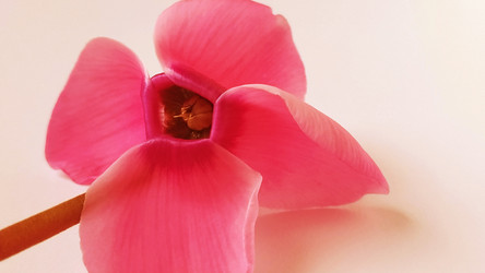 Similar image 21417933