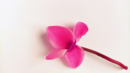 Similar image 21417934