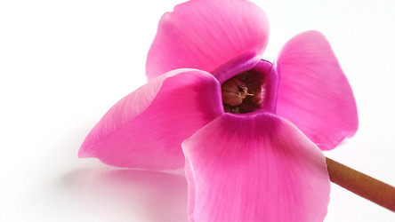 Similar image 21417937