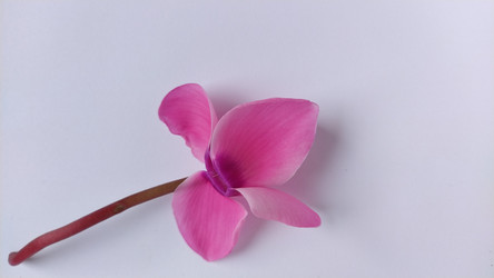 Similar image 21417938