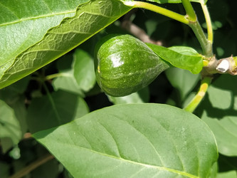 Similar image 21417939