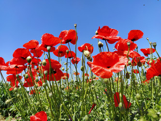 Similar image 21417940