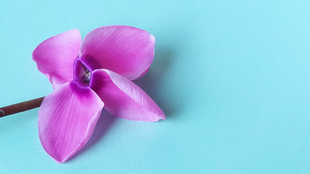 Similar image 21418275