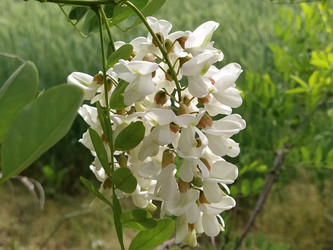 Similar image 21389199