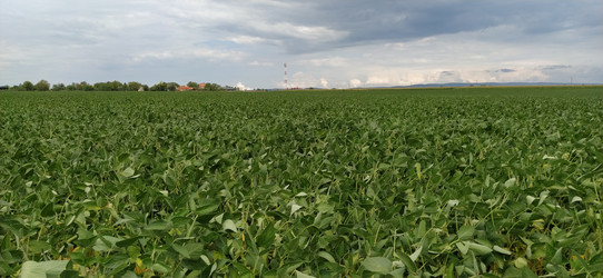 Similar image 21389201