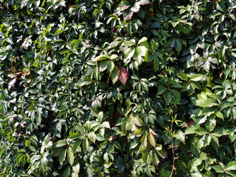 Similar image 21389203