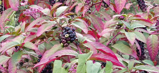 Similar image 21389438