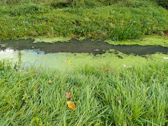 Similar image 21389440