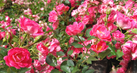 Similar image 21389441