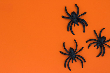 Similar image 21421608