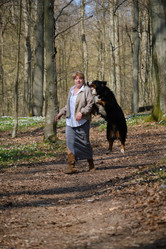 Similar image 21404153