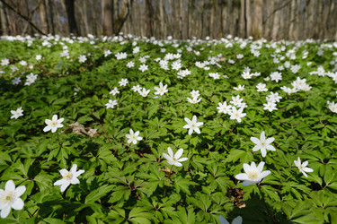 Similar image 21404198