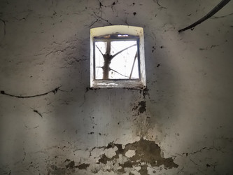 Similar image 21417954