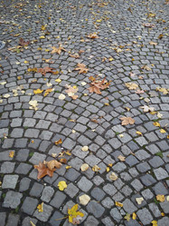 Similar image 21417132