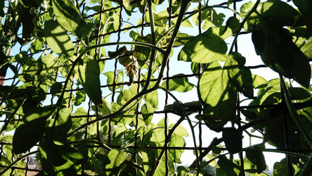 Similar image 21417421