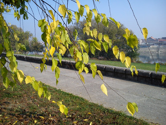 Similar image 21417958