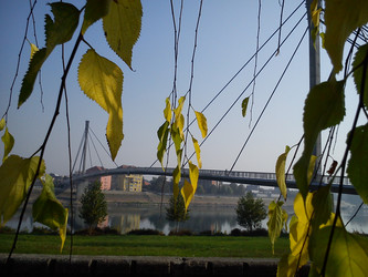 Similar image 21417962