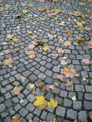 Similar image 21417965