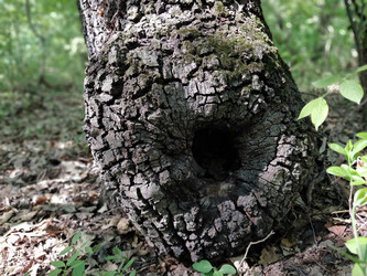 Similar image 21389213