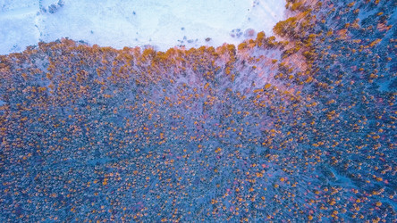 Similar image 21387360