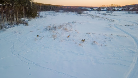 Similar image 21387362