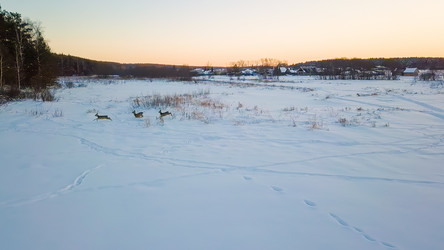 Similar image 21387370