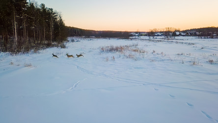 Similar image 21387376