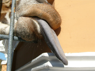 Similar image 21416429