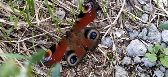 Similar image 21416430