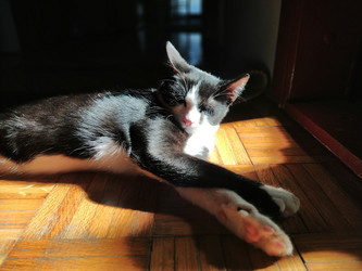 Similar image 21416669