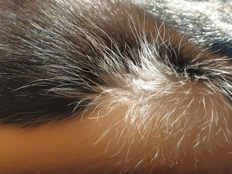 Similar image 21416671