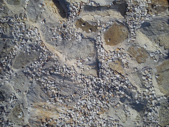 Similar image 21417148