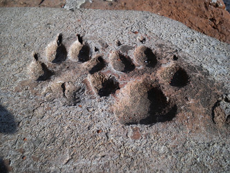 Similar image 21417969