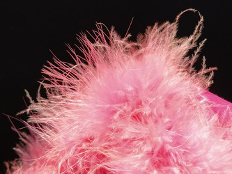 Similar image 21389222