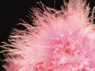 Similar image 21389461