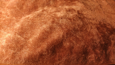 Similar image 21389467