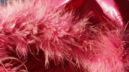 Similar image 21390492