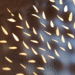 Similar image 21390499