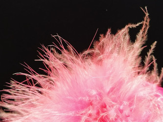 Similar image 21390501