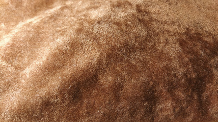 Similar image 21416684